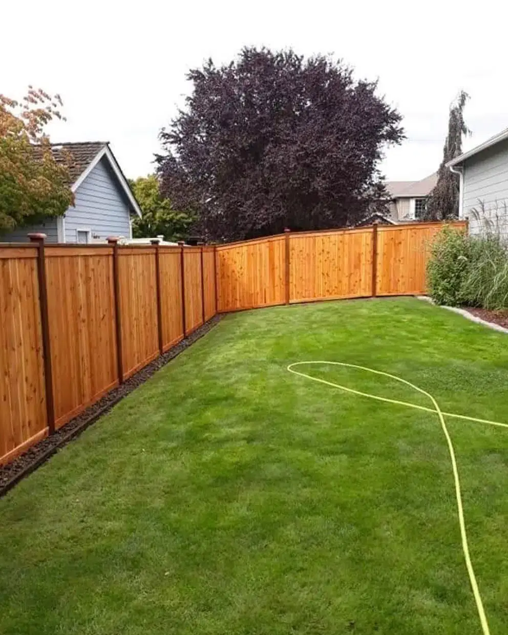 fence01.jpg