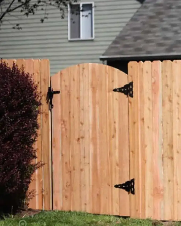 fence04.jpg