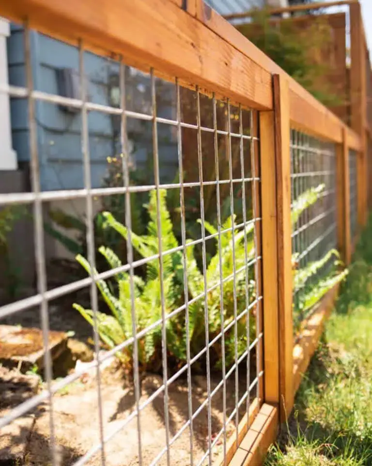 fence10.jpg