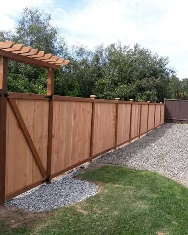 fence15.jpg