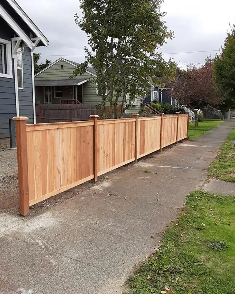 fence16.jpg